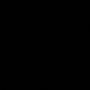 Meet your Posher, Camryn